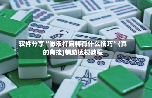 软件分享“微乐打麻将有什么技巧”(真的有挂)辅助透视教程-第3张图片