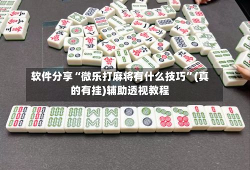 软件分享“微乐打麻将有什么技巧”(真的有挂)辅助透视教程