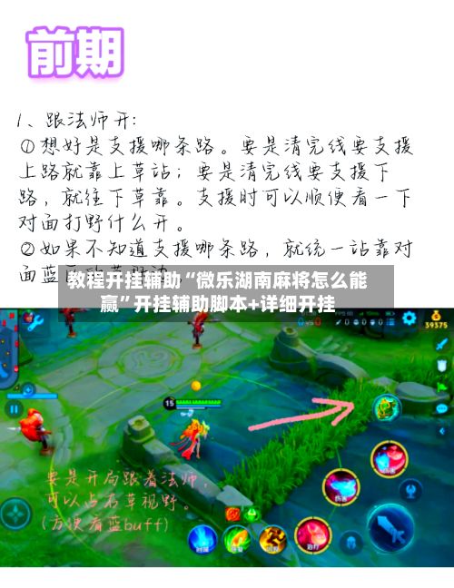 教程开挂辅助“微乐湖南麻将怎么能赢”开挂辅助脚本+详细开挂-第2张图片
