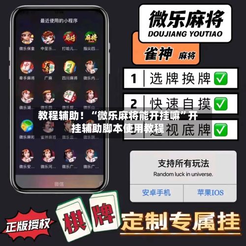 教程辅助！“微乐麻将能开挂嘛”开挂辅助脚本使用教程-第3张图片