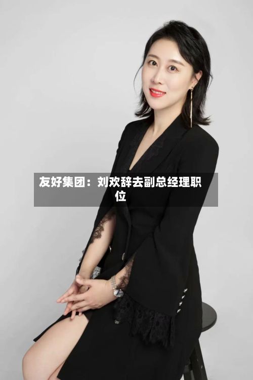 友好集团：刘欢辞去副总经理职位