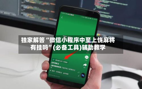 独家解答“微信小程序中至上饶麻将有挂吗”(必备工具)辅助教学-第2张图片