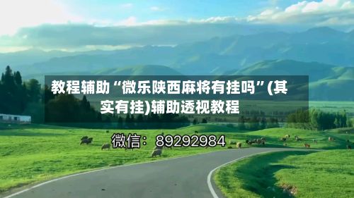 教程辅助“微乐陕西麻将有挂吗”(其实有挂)辅助透视教程-第3张图片