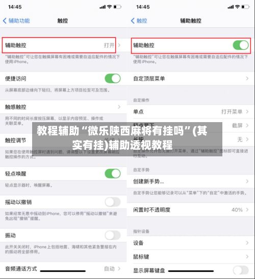 教程辅助“微乐陕西麻将有挂吗”(其实有挂)辅助透视教程-第2张图片