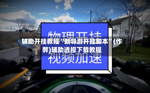 辅助开挂教程“新导游开挂脚本”(作弊)辅助透视下载教程-第2张图片