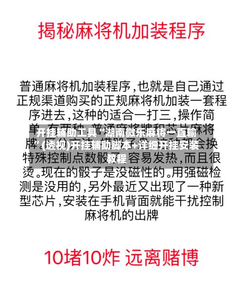 开挂辅助工具“湖南微乐麻将一直输”(透视)开挂辅助脚本+详细开挂安装教程-第2张图片
