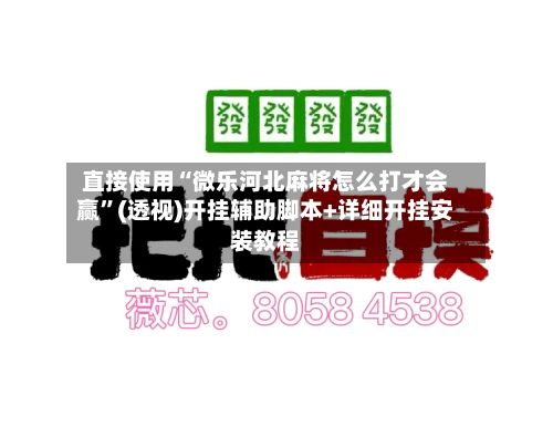直接使用“微乐河北麻将怎么打才会赢”(透视)开挂辅助脚本+详细开挂安装教程