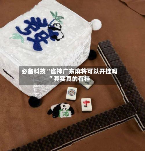 必备科技“雀神广东麻将可以开挂吗”其实真的有挂-第2张图片