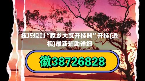 技巧规则“家乡大贰开挂器”开挂(透视)最新辅助详细
