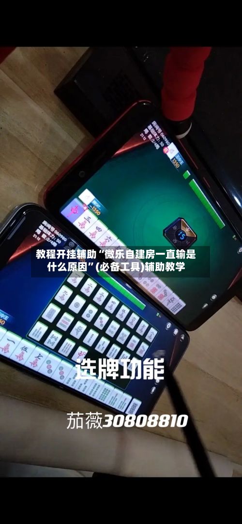 教程开挂辅助“微乐自建房一直输是什么原因”(必备工具)辅助教学-第2张图片