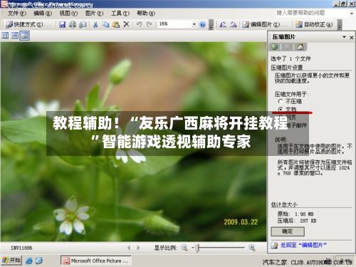 教程辅助！“友乐广西麻将开挂教程	”智能游戏透视辅助专家-第2张图片