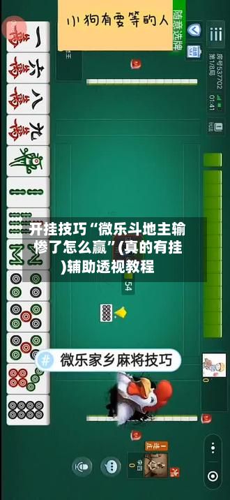 开挂技巧“微乐斗地主输惨了怎么赢	”(真的有挂)辅助透视教程-第2张图片