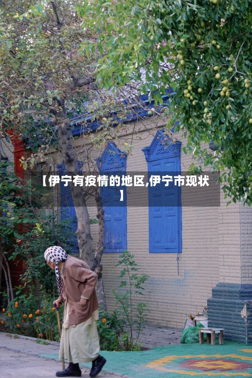 【伊宁有疫情的地区,伊宁市现状】-第2张图片