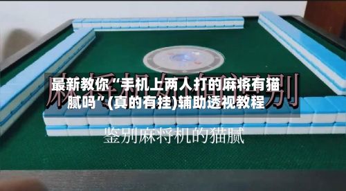 最新教你“手机上两人打的麻将有猫腻吗”(真的有挂)辅助透视教程