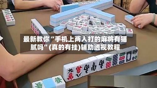 最新教你“手机上两人打的麻将有猫腻吗	”(真的有挂)辅助透视教程-第2张图片