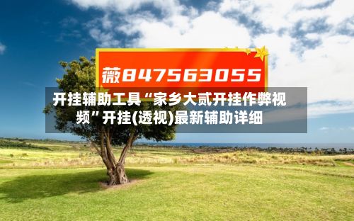 开挂辅助工具“家乡大贰开挂作弊视频	”开挂(透视)最新辅助详细-第2张图片