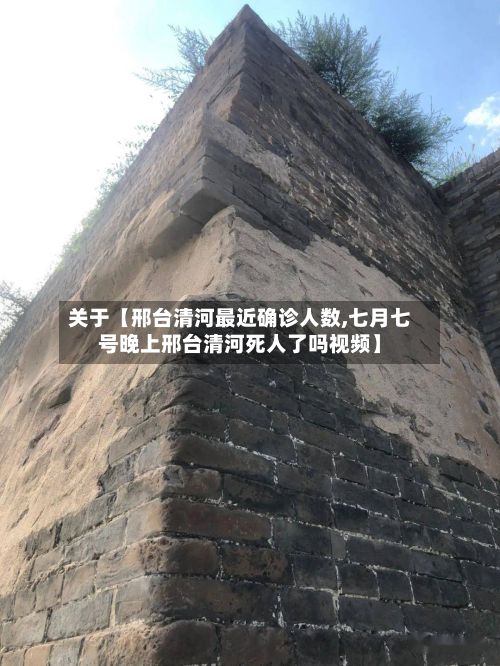 关于【邢台清河最近确诊人数,七月七号晚上邢台清河死人了吗视频】