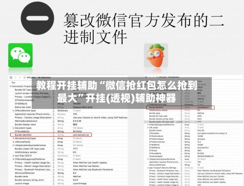 教程开挂辅助“微信抢红包怎么抢到最大”开挂(透视)辅助神器-第2张图片