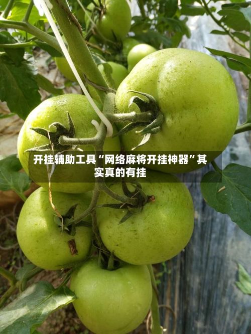 开挂辅助工具“网络麻将开挂神器”其实真的有挂