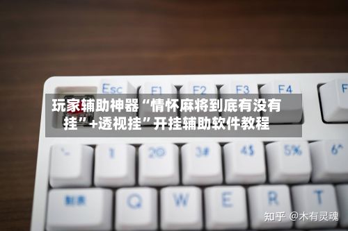 玩家辅助神器“情怀麻将到底有没有挂”+透视挂”开挂辅助软件教程-第2张图片