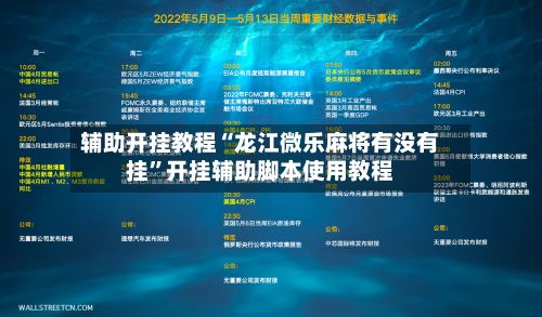 辅助开挂教程“龙江微乐麻将有没有挂”开挂辅助脚本使用教程-第3张图片