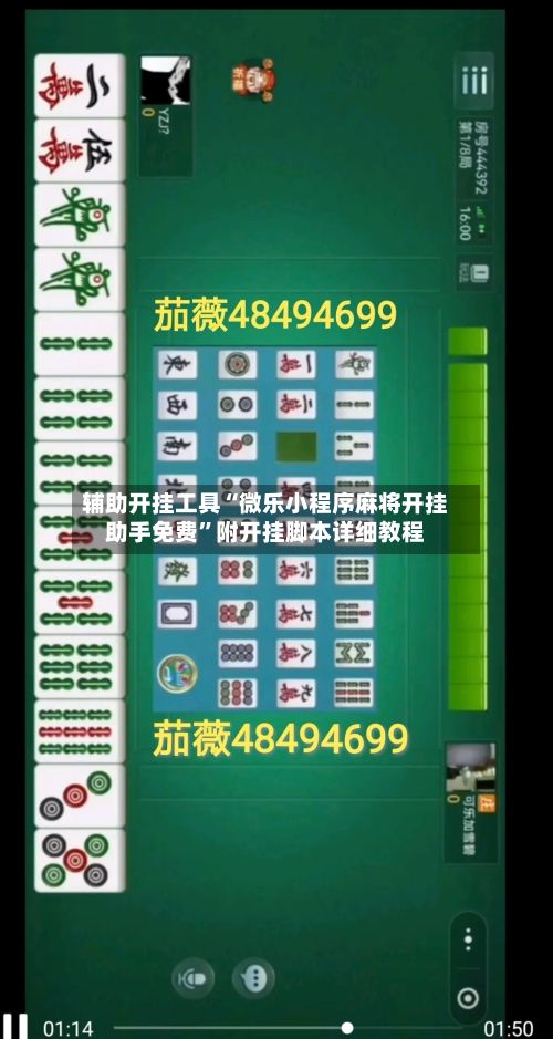 辅助开挂工具“微乐小程序麻将开挂助手免费	”附开挂脚本详细教程-第2张图片