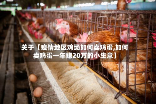 关于【疫情地区鸡场如何卖鸡蛋,如何卖鸡蛋一年赚20万的小生意】