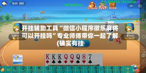 开挂辅助工具“微信小程序徽乐麻将可以开挂吗”专业师傅带你一起了解(确实有挂-第2张图片