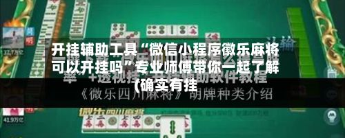 开挂辅助工具“微信小程序徽乐麻将可以开挂吗	”专业师傅带你一起了解(确实有挂-第3张图片