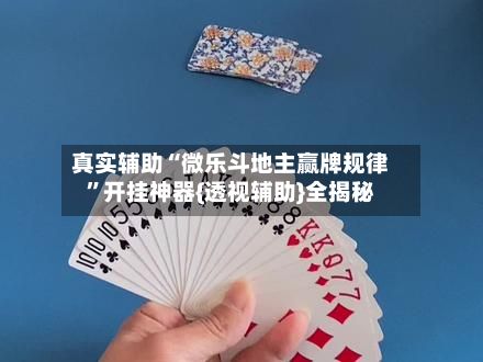 真实辅助“微乐斗地主赢牌规律”开挂神器{透视辅助}全揭秘-第2张图片