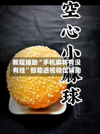 教程辅助“手机麻将有没有挂	”智能透视稳定辅助-第2张图片