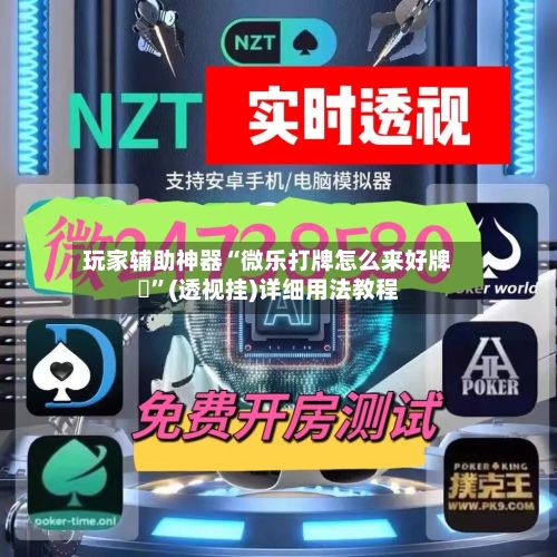 玩家辅助神器“微乐打牌怎么来好牌	”(透视挂)详细用法教程-第3张图片