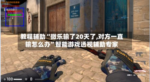 教程辅助“微乐输了20天了,对方一直输怎么办”智能游戏透视辅助专家-第3张图片
