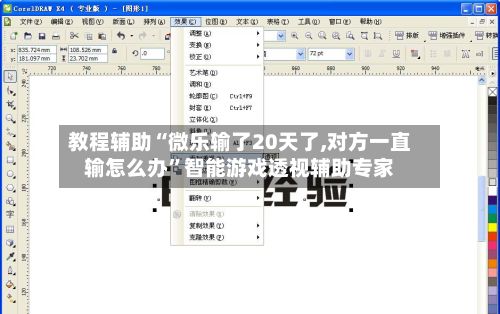 教程辅助“微乐输了20天了,对方一直输怎么办	”智能游戏透视辅助专家-第2张图片