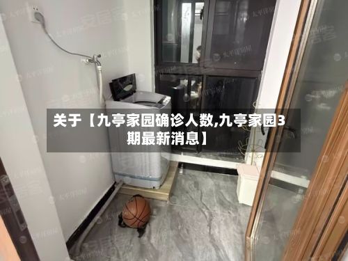 关于【九亭家园确诊人数,九亭家园3期最新消息】-第3张图片