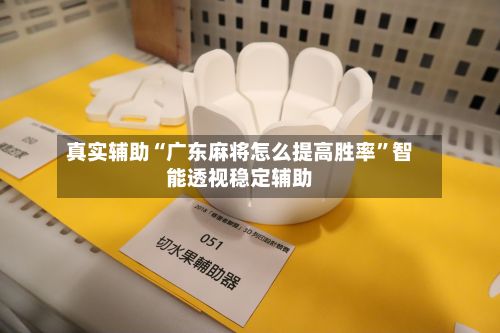 真实辅助“广东麻将怎么提高胜率”智能透视稳定辅助-第2张图片