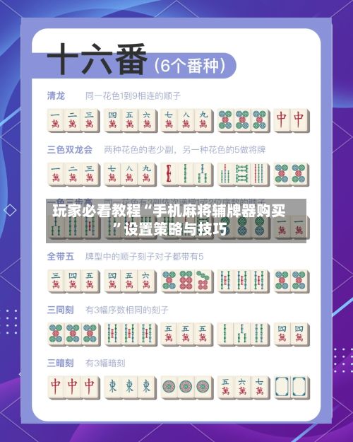 玩家必看教程“手机麻将辅牌器购买	”设置策略与技巧-第2张图片