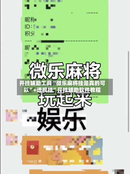 开挂辅助工具“微乐麻将挂是真的可以”+透视挂	”开挂辅助软件教程-第3张图片