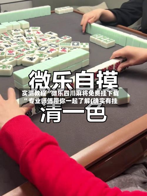 实测教程“微乐四川麻将免费挂下载”专业师傅带你一起了解(确实有挂-第2张图片