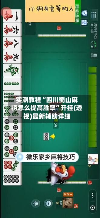 实测教程“四川蜀山麻将怎么提高胜率”开挂(透视)最新辅助详细-第3张图片