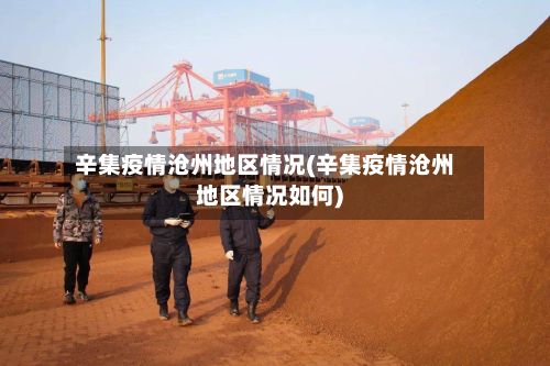 辛集疫情沧州地区情况(辛集疫情沧州地区情况如何)-第3张图片
