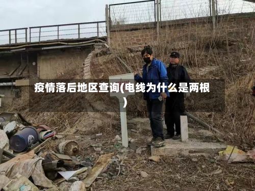 疫情落后地区查询(电线为什么是两根)-第2张图片