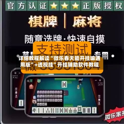 详细教程解读“微乐春天能开挂嘛通用版”+透视挂	”开挂辅助软件教程-第3张图片