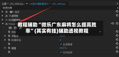 教程辅助“微乐广东麻将怎么提高胜率	”(其实有挂)辅助透视教程-第2张图片