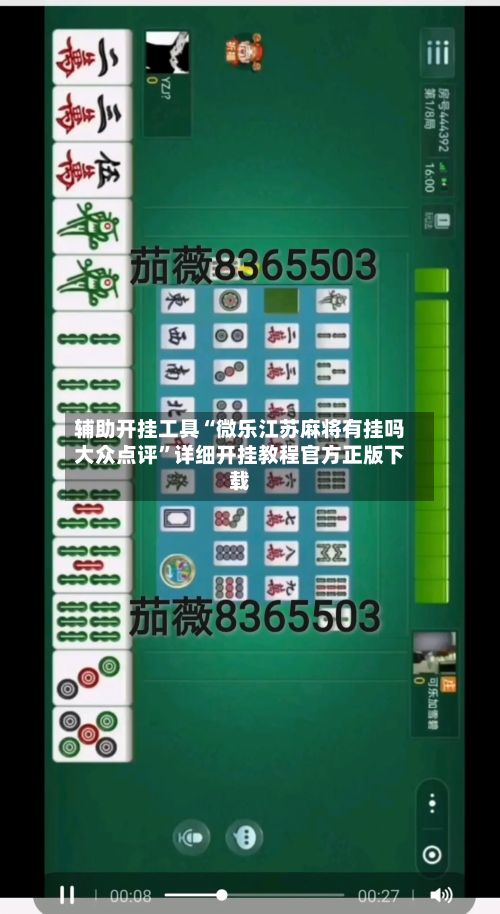 辅助开挂工具“微乐江苏麻将有挂吗大众点评”详细开挂教程官方正版下载-第3张图片