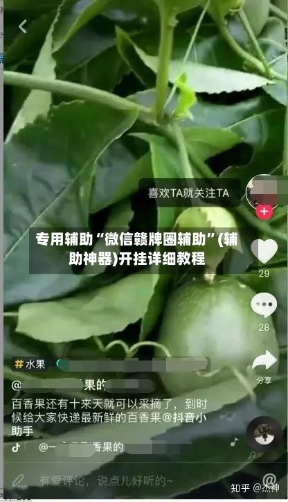 专用辅助“微信赣牌圈辅助”(辅助神器)开挂详细教程-第2张图片