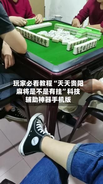 玩家必看教程“天天贵阳麻将是不是有挂”科技辅助神器手机版-第2张图片