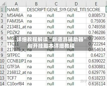 详细教程解读“新道游辅助器”附开挂脚本详细教程