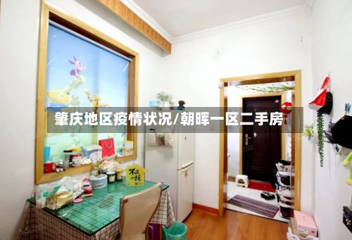 肇庆地区疫情状况/朝晖一区二手房-第2张图片