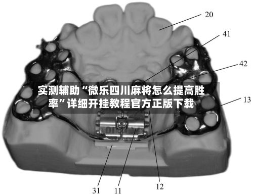 实测辅助“微乐四川麻将怎么提高胜率”详细开挂教程官方正版下载-第2张图片